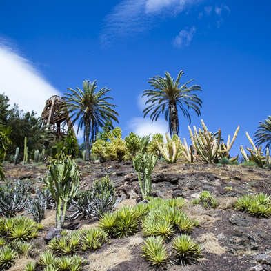 Fuerteventura 2011