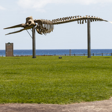 Fuerteventura 2013