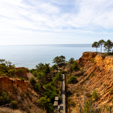 Algarve 2025