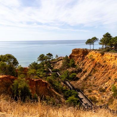 Algarve 2025