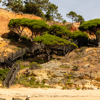 Algarve 2025