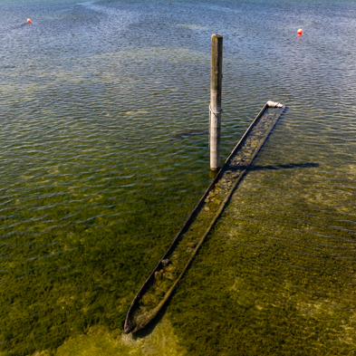 Bodensee 2026